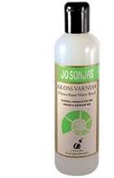 Jo Sonja Poly Water Based Varnish Gloss 250ml